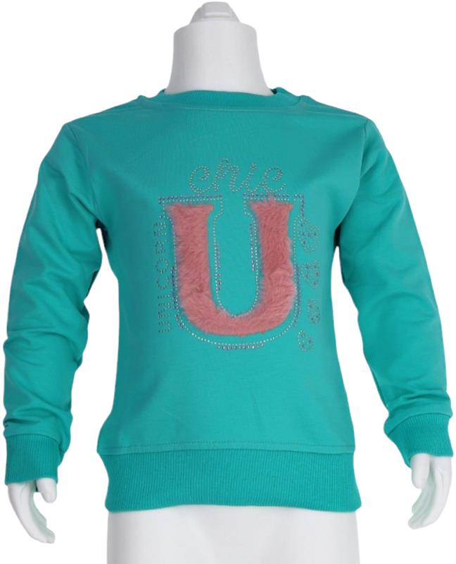 138 new model girls sweatshirts wholesale 3-4-5-6-7 age