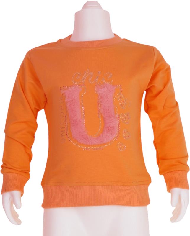 139 new model girls sweatshirts wholesale 8-9-10-11-12 age